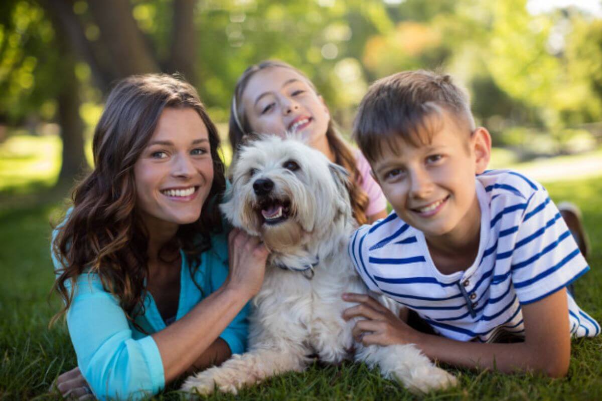 Adoção Responsável de Cães: Um Guia Completo para Encontrar seu Novo Amigo Peludo