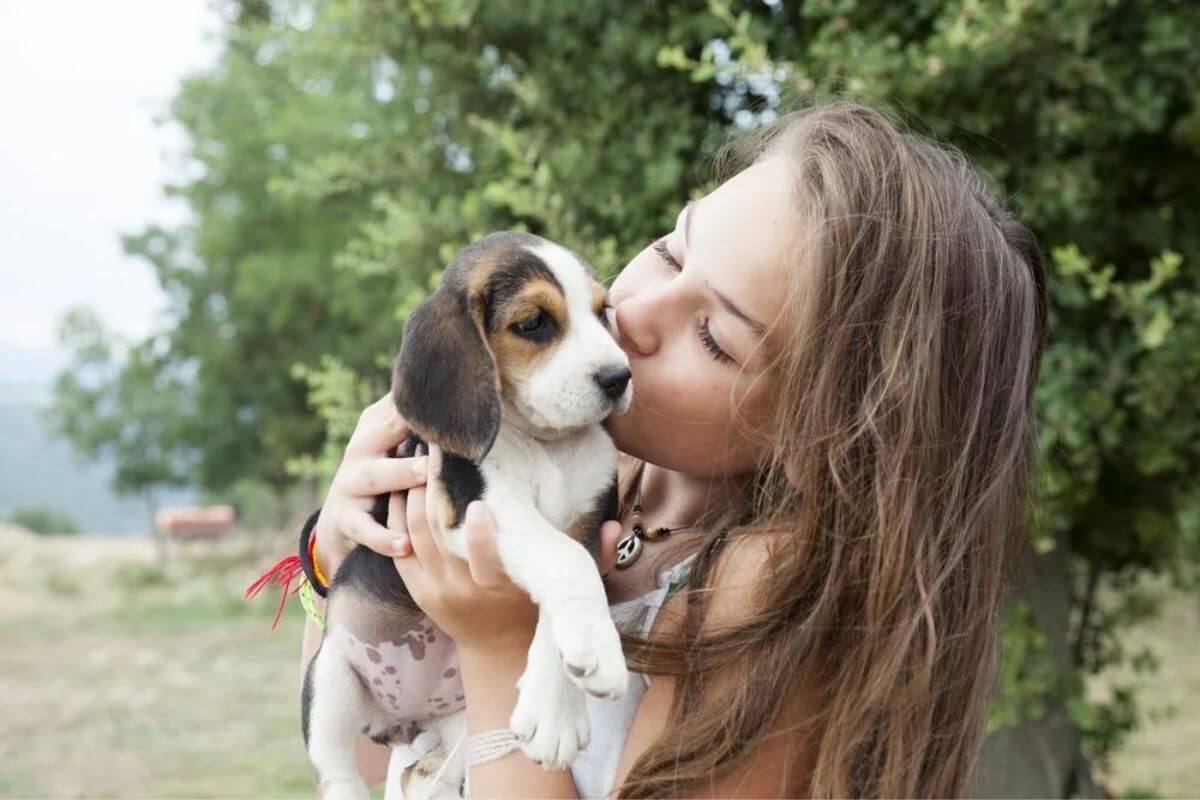 Domando Ansiedade Canina: Cão Calmo na Ausência do Dono