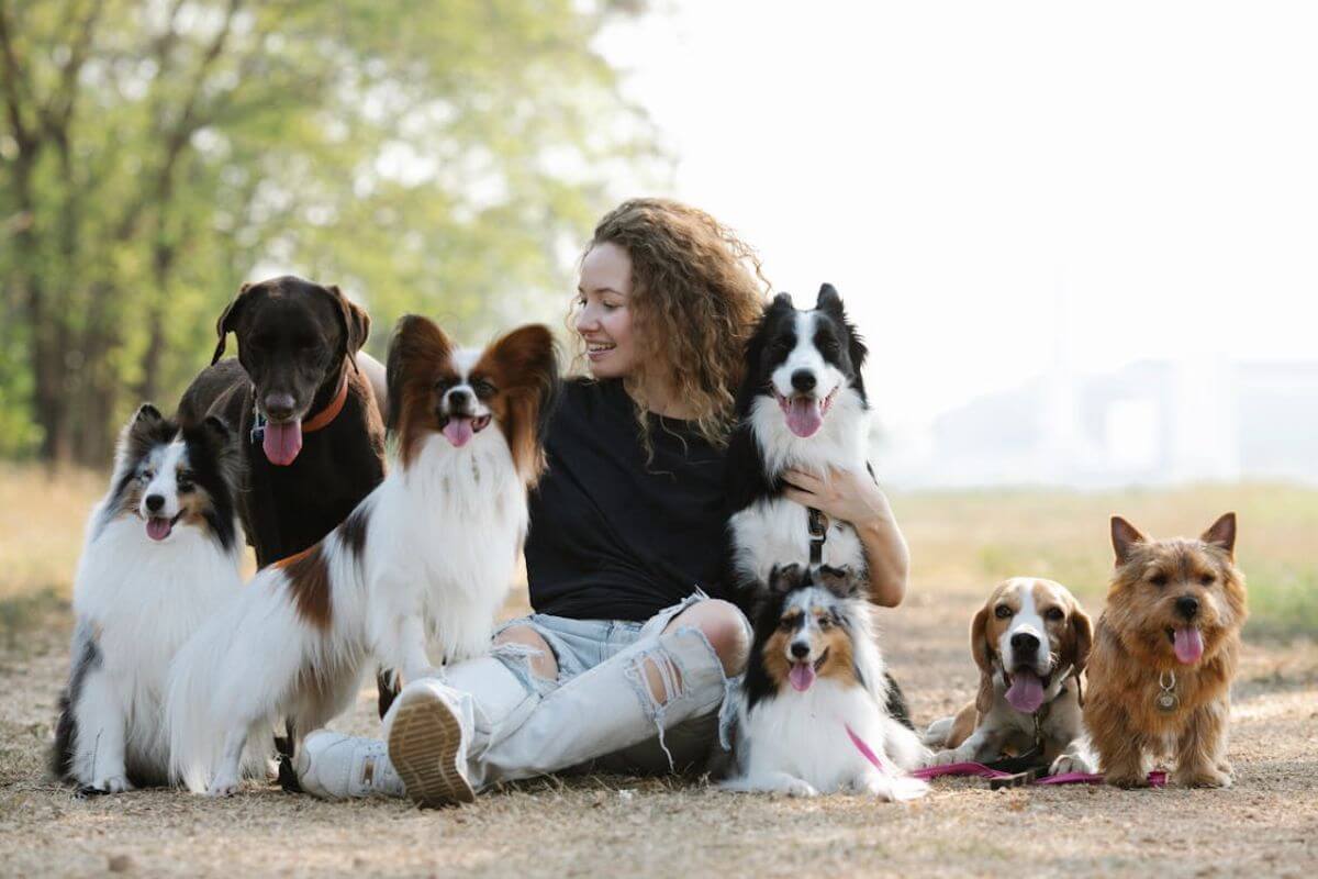 Caninos de Destaque: Descubra as 10 Raças de Cachorros Mais Amadas do Mundo