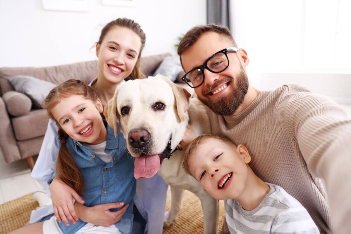 Descubra Qual Cão Mais Apegado ao Dono: Companheiros Fieis para Toda a Vida