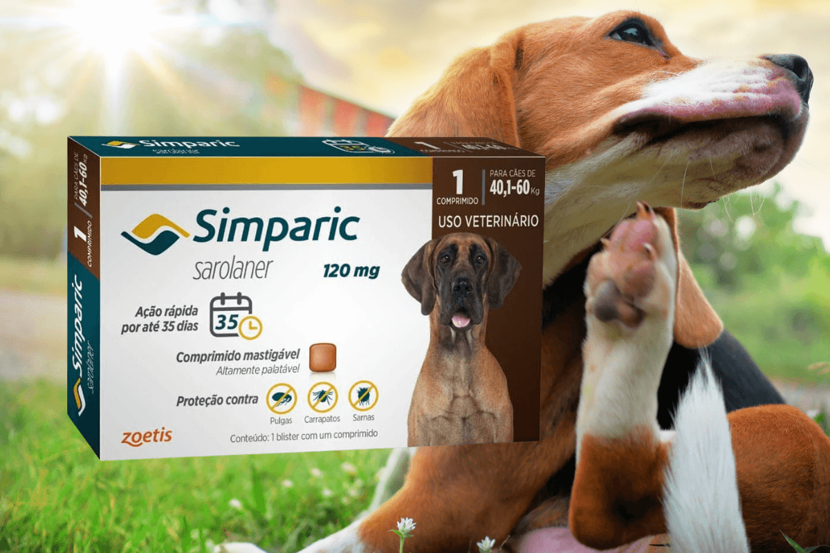 Antipulgas Simparic 120mg para cães de 40 a 60kg: benefícios e como utilizar