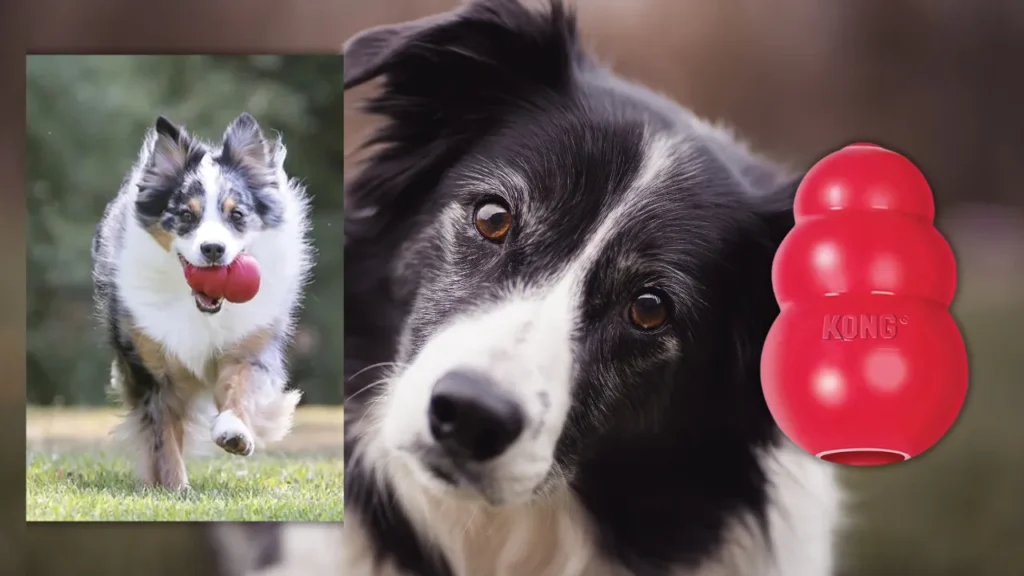 Kong wobbler small brinquedo para cães pequeno e médio Kong wobbler small brinquedo para cães pequeno e médio