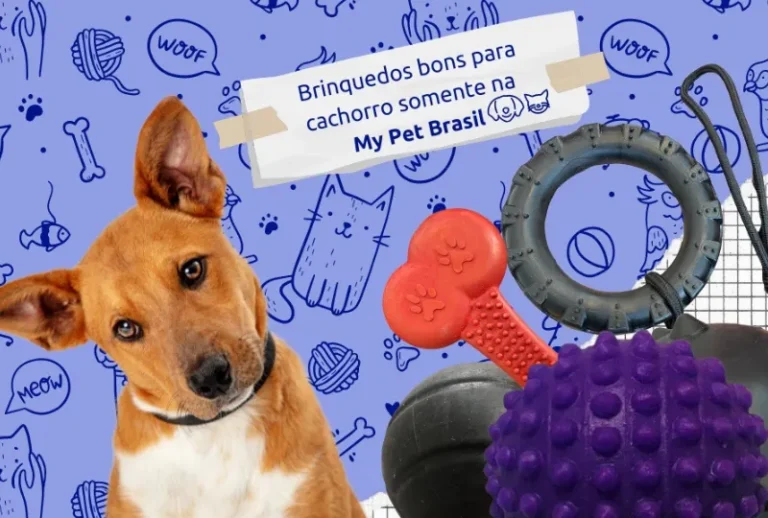 Osso Massageador Médio Brinquedo Para Cachorros Interativo E Divertido Auxilia E Fortalece Os Dentes