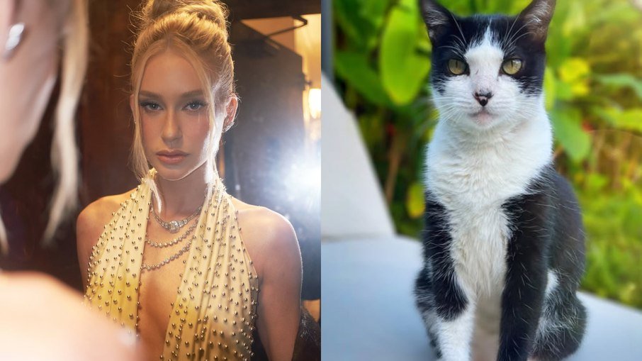 Marina Ruy Barbosa reencontra gato desaparecido e agradece apoio nas redes - Imagem do artigo original