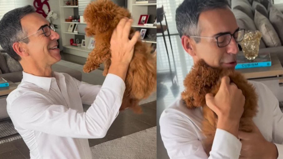 César Tralli apresenta Nutella, nova cadela de 3 meses, e amplia a família - Imagem do artigo original