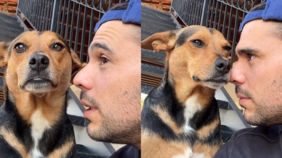 Vídeo mostra cão resgatado a reagir a declaração do tutor e conquista redes sociais - Imagem do artigo original