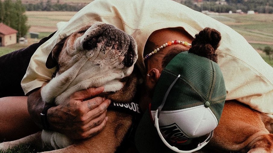 Lewis Hamilton anuncia morte do cão Roscoe após quatro dias em suporte de vida - Imagem do artigo original