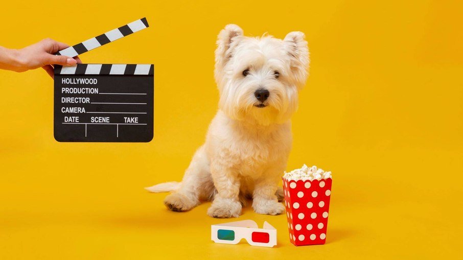 CineDog regressa a Belo Horizonte e abre as portas do cinema aos cães - Imagem do artigo original