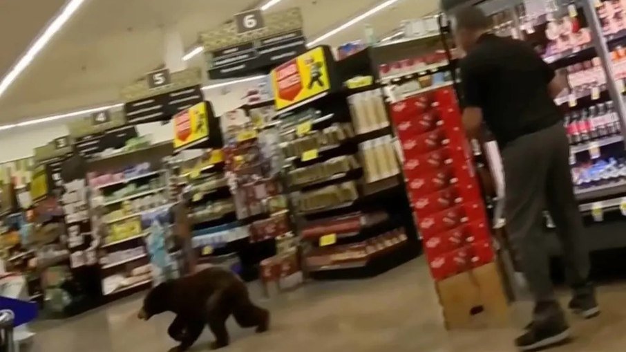 Urso invade supermercado no Arizona e obriga à retirada de clientes - Imagem do artigo original