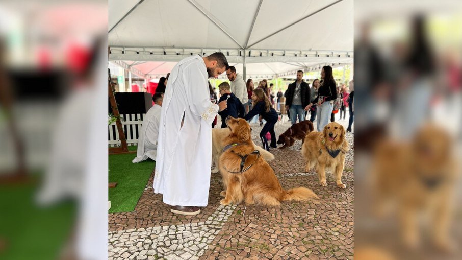 PUCPR realiza bênção dos animais com drive-thru esta sexta-feira - Imagem do artigo original