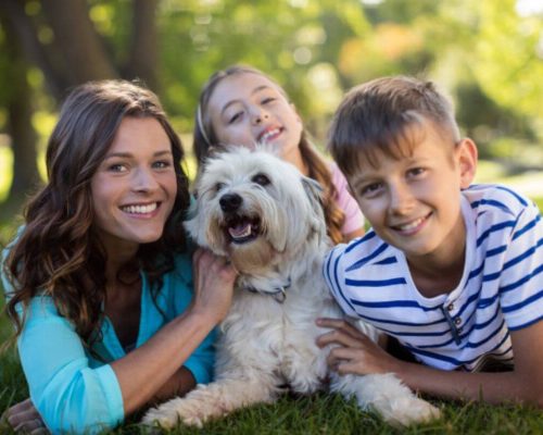 Adoção Responsável de Cães: Um Guia Completo para Encontrar seu Novo Amigo Peludo