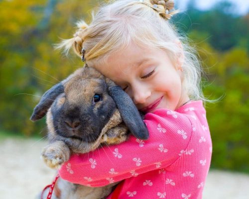 Aprender com a Tecnologia: Aventuras Educativas no Reino Animal!