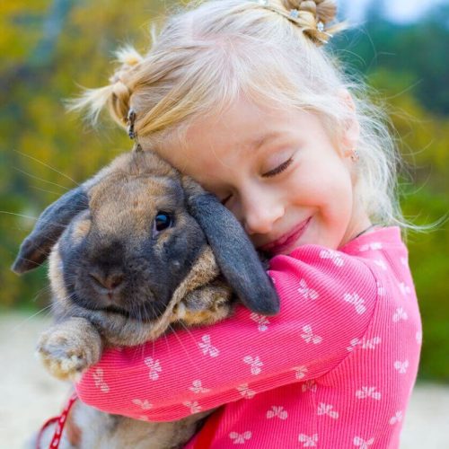 Aprender com a Tecnologia: Aventuras Educativas no Reino Animal!