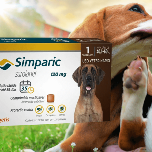 Antipulgas Simparic 120mg para cães de 40 a 60kg: benefícios e como utilizar